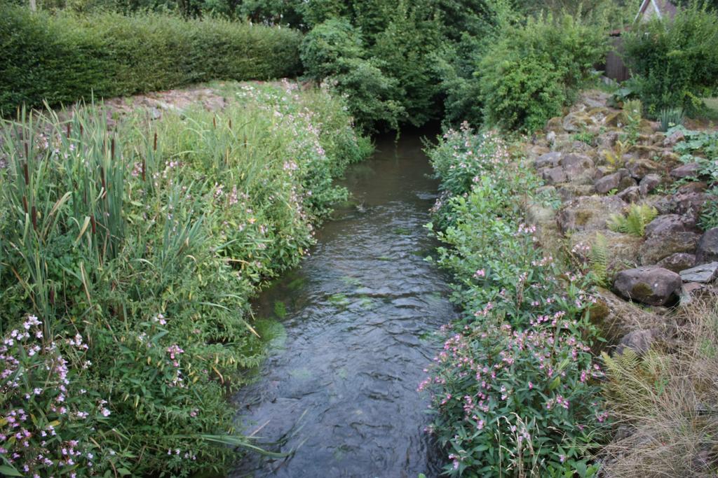 Gite Du Moulin Uhrwiller Exteriör bild