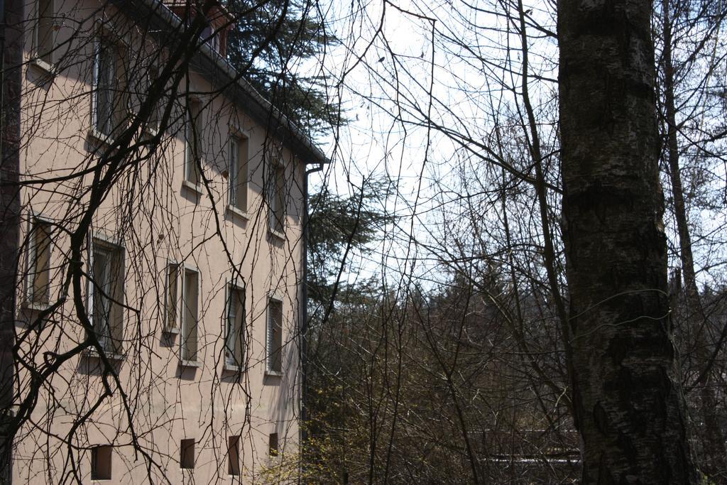 Gite Du Moulin Uhrwiller Exteriör bild